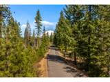  Lonesome Pines Dr - Photo 6
