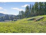 21303 Hells Canyon Rd - Photo 41