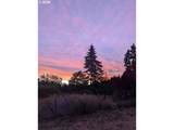 26423 Beavercreek Rd - Photo 3