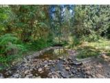 1407 Slide Creek Rd - Photo 39