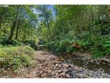 1407 Slide Creek Rd - Photo 40
