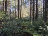  Greggs Creek Rd - Photo 2