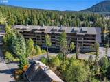31254 Collins Lake Rd - Photo 40