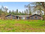 31510 Camas Swale Rd - Photo 3