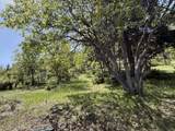  Coopers Hawk Rd - Photo 19