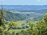 11894 Dupee Valley Rd - Photo 3