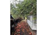 31970 Fern Rd - Photo 21