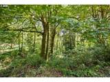 186 Tara Ln - Photo 40
