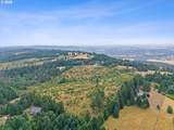 22905 Mountain Top Rd - Photo 46