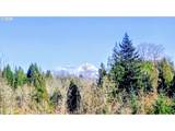 7326 252ND Ave - Photo 30