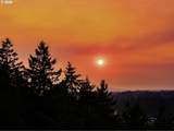 1160 Oak Ter - Photo 40