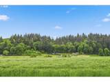 33192 Wilkins Rd - Photo 32