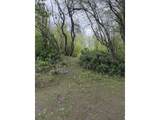 000 Columbia River - Photo 24