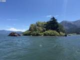 000 Columbia River - Photo 4