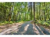 18910 Sauvie Island Rd - Photo 31