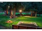 39100 Tumala Mountain Rd - Photo 35