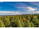 15931 Forest Haven Rd - Photo 12