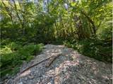 20284 Carnarvon Dr - Photo 12