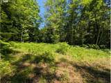 20284 Carnarvon Dr - Photo 13