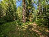 20284 Carnarvon Dr - Photo 16