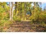  Siuslaw River Rd - Photo 17