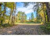  Siuslaw River Rd - Photo 2