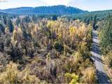  Siuslaw River Rd - Photo 25
