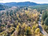  Siuslaw River Rd - Photo 26