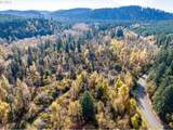  Siuslaw River Rd - Photo 27