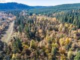  Siuslaw River Rd - Photo 28