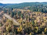  Siuslaw River Rd - Photo 29