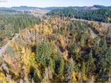  Siuslaw River Rd - Photo 31