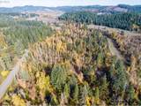 Siuslaw River Rd - Photo 32