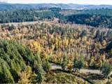  Siuslaw River Rd - Photo 34