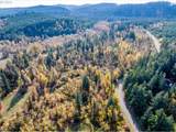  Siuslaw River Rd - Photo 35