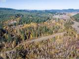  Siuslaw River Rd - Photo 39