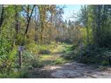  Siuslaw River Rd - Photo 4