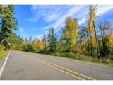  Siuslaw River Rd - Photo 5