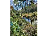 50010 Coalman Rd - Photo 47