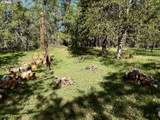2215 Pine Oak Rd - Photo 3