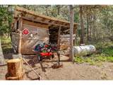 2215 Pine Oak Rd - Photo 38