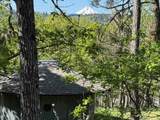 2215 Pine Oak Rd - Photo 43