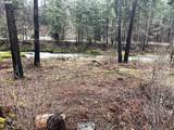 91303 Blue River Rd - Photo 8