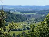 11890 Dupee Valley Rd - Photo 40