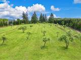 11890 Dupee Valley Rd - Photo 7