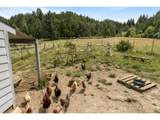 9273 Gopher Valley Rd - Photo 38