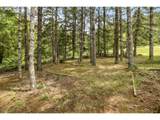 9273 Gopher Valley Rd - Photo 43