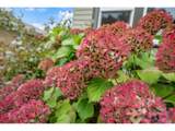6214 Alameda St - Photo 44