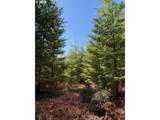 0 Boiler Creek Rd - Photo 12
