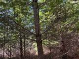 0 Boiler Creek Rd - Photo 14